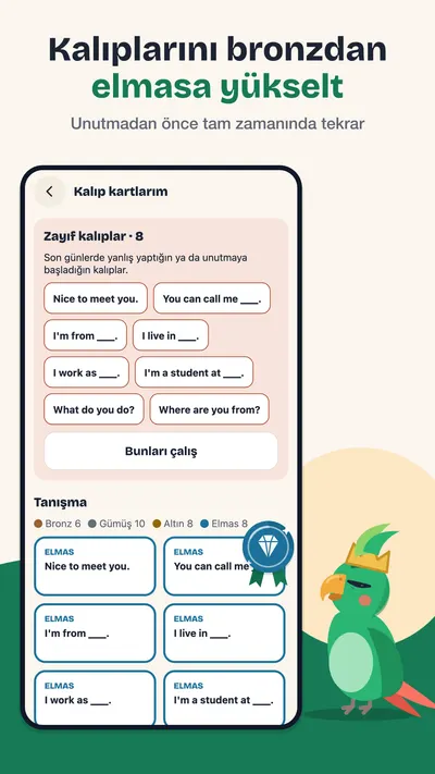 Koleksiyon: kalıpları bronzdan elmasa yükseltme